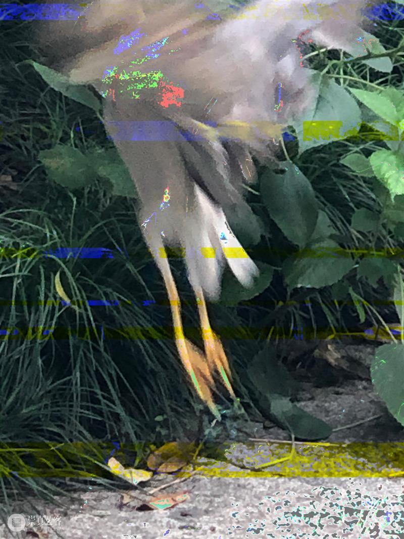 这是群展| 我们在内心深处能看到多远? 内心深处 群展| 策展人 Curator 安媛 Laurence 艺术家 Corinne 童宙 HANG 崇真艺客